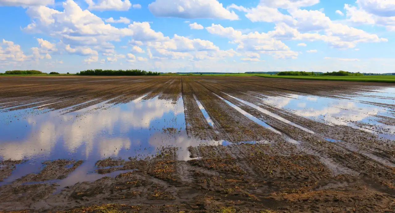 image / Plan d’adaptation au dérèglement climatique